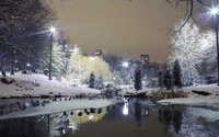 Winter Night Reflection in London's Snowy Park