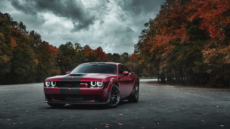 Красный dodge charger припаркован на парковке с деревьями на заднем плане (додж, dodge, король, шина, колесо)