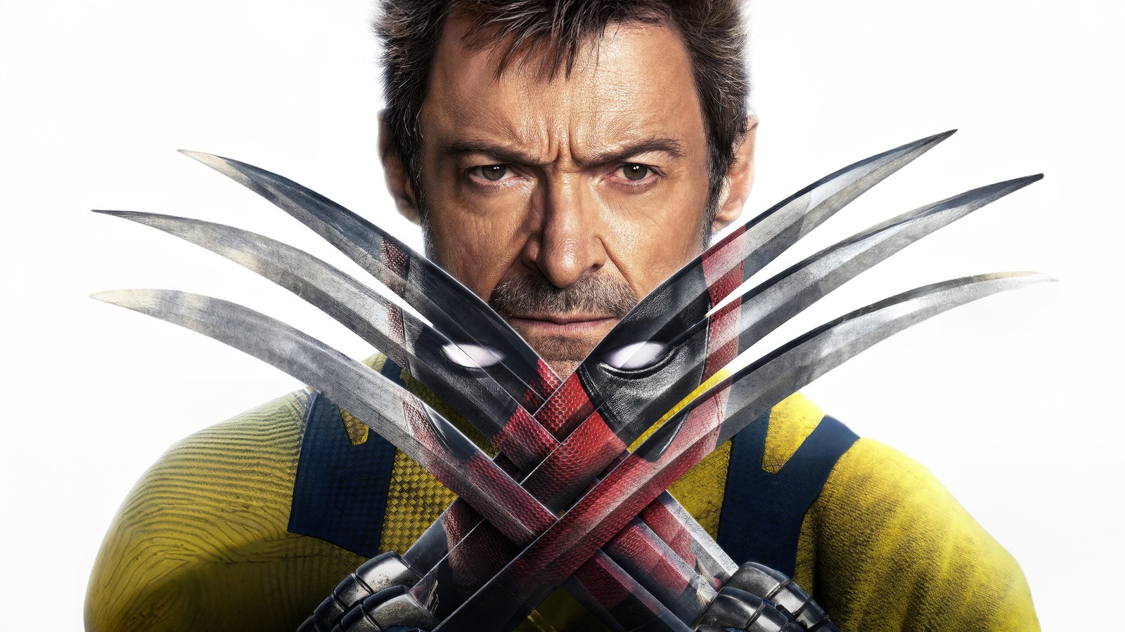 Wolverine, wolverine, wolverine, wolverine, wolverine, wolverine, wolverine, wolverine, wolverine, wolverine, wolverine, wolverine, wolverine, wolverine, wolverine, wolverine, wolverine, wolverine, wolverine, wolverine (deadpool gegen wolverine, deadpool wolverine, hugh jackman, logan, 2024 filme)