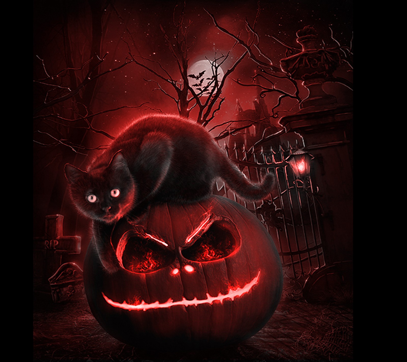 Descargar fondo de pantalla halloween, gatito