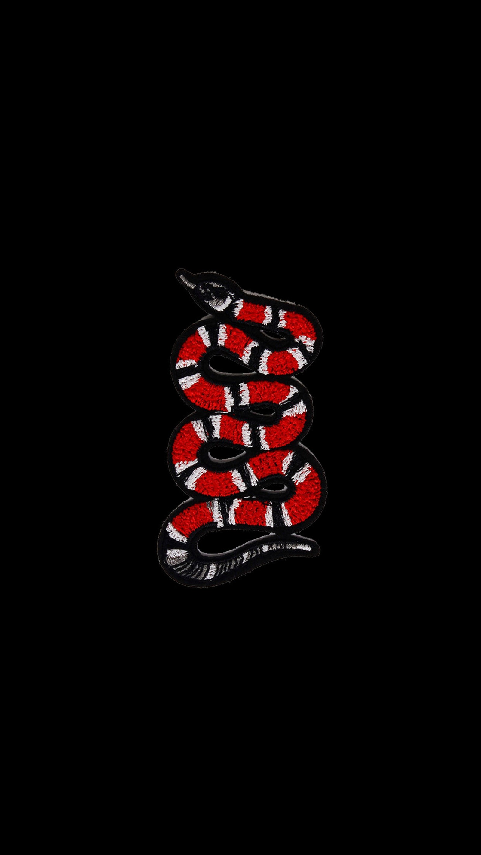 A close up of a snake on a black background with a red and white stripe (berkan sevil swl, gucci, yilan)