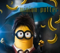 funny, minion, potter