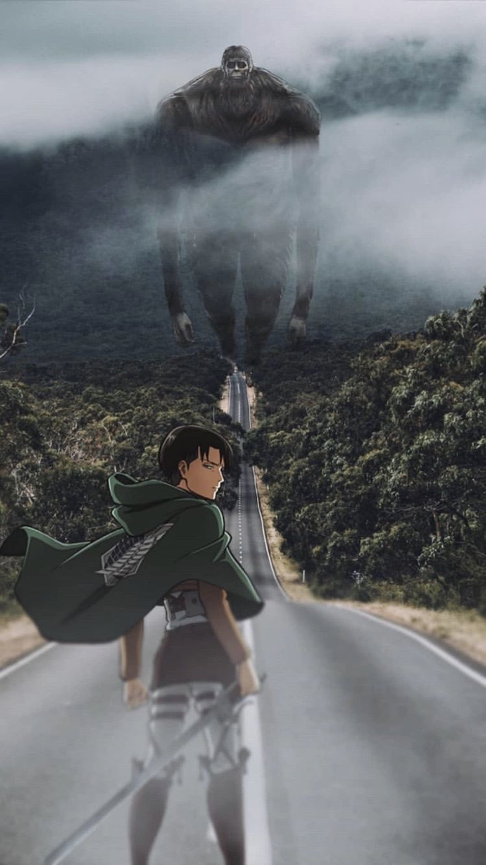 aot, attack on titan, eren, knight, livai Download Wallpaper