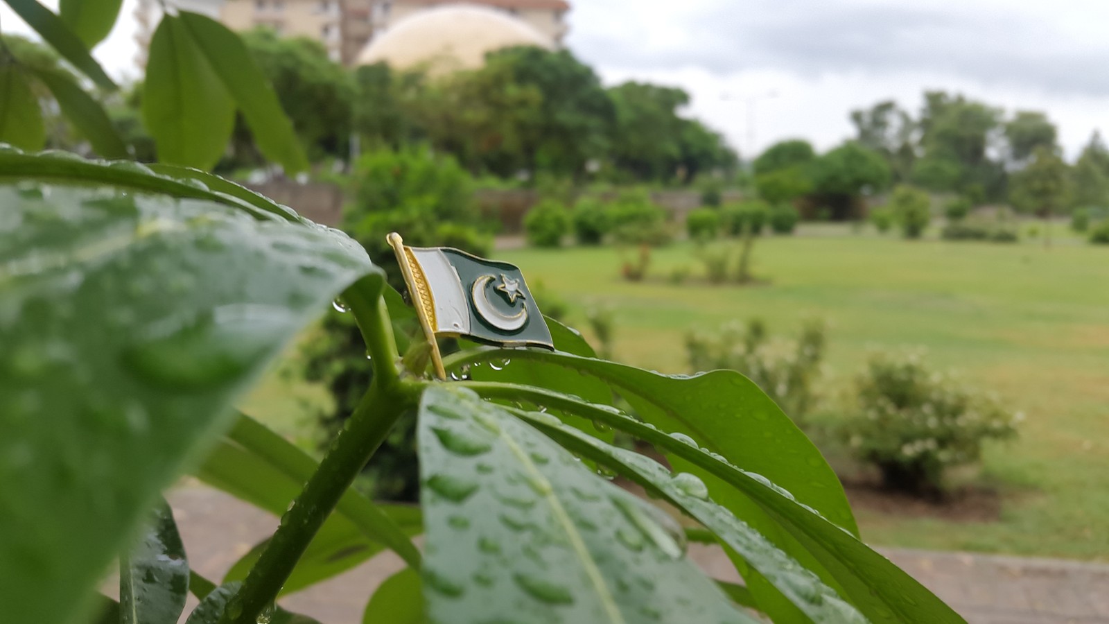 Скачать обои пакистан, флаг пакистана, пакстан зиндабад, pakistan zindabad