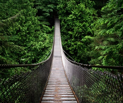 brücke, gehängt