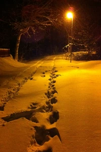 Caminhada de inverno tranquila sob o poste de luz