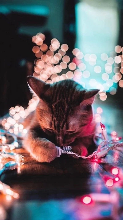 Gato navideño acogedor entre luces centelleantes