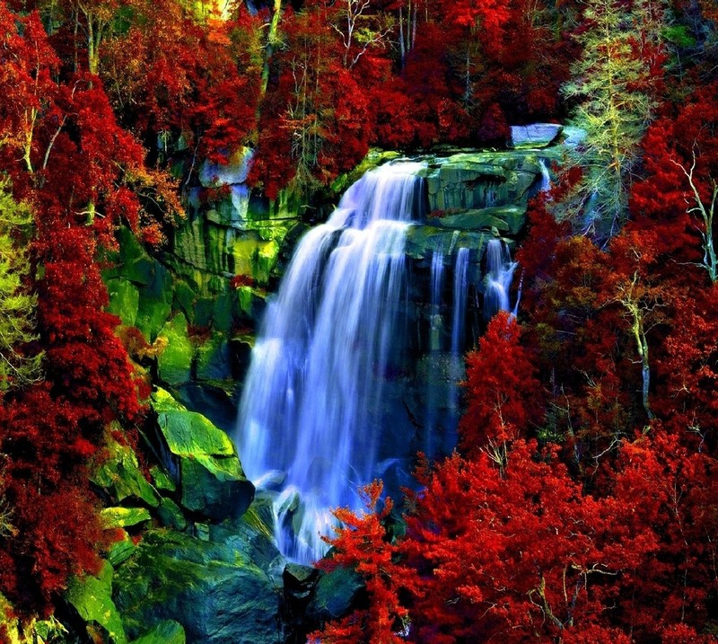 Um close de uma cachoeira cercada por árvores com folhas vermelhas (natureza)