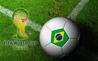 Brazil National Football Team: 2014 FIFA World Cup Soccer Ball on Green Field