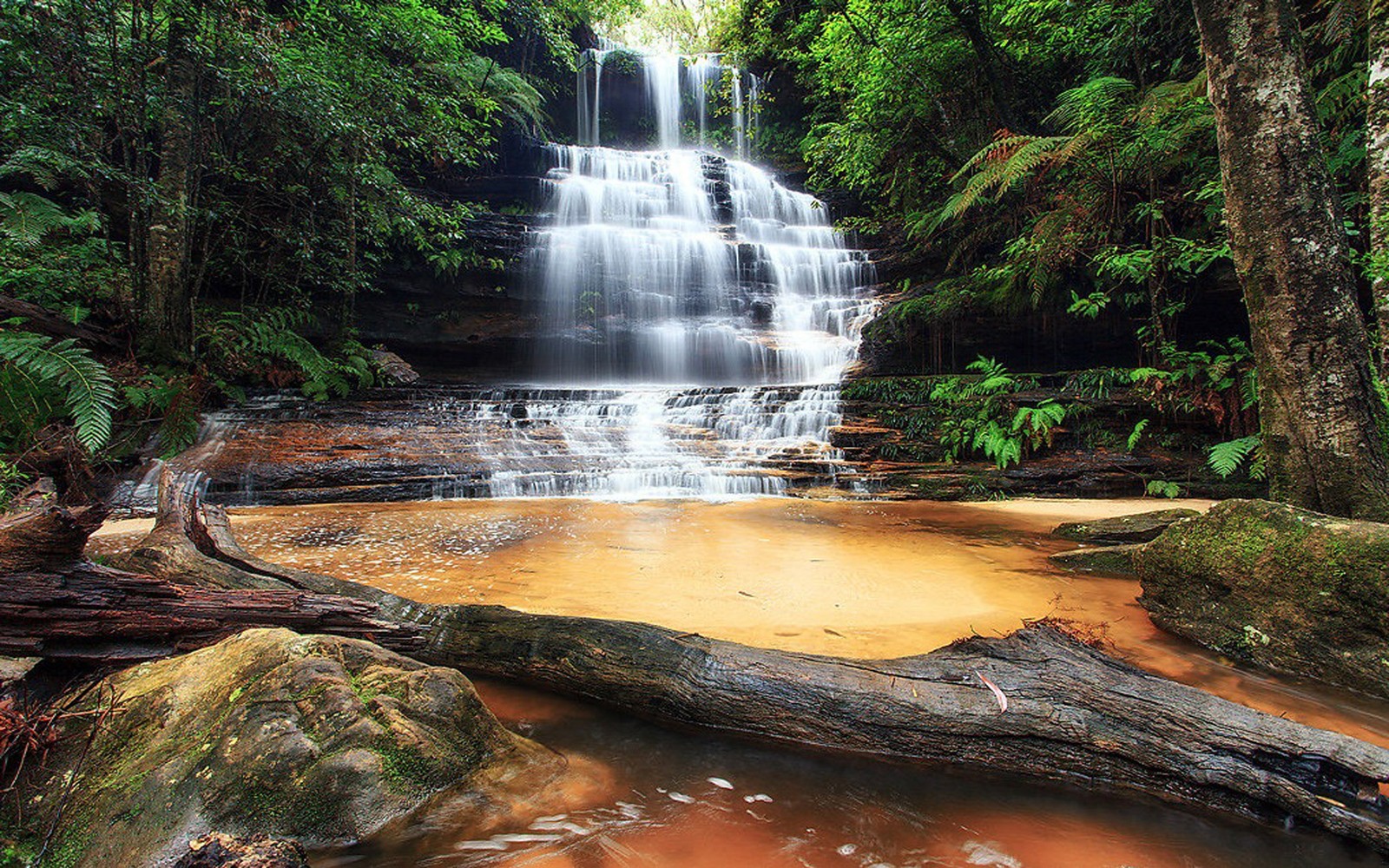 A close up of a waterfall in the middle of a forest (waterfall, body of water, nature, water, nature reserve)