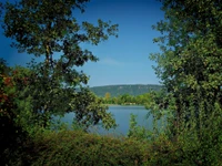 Ruhiges Naturschutzgebiet mit üppiger Vegetation und ruhiger Wasserreflexion