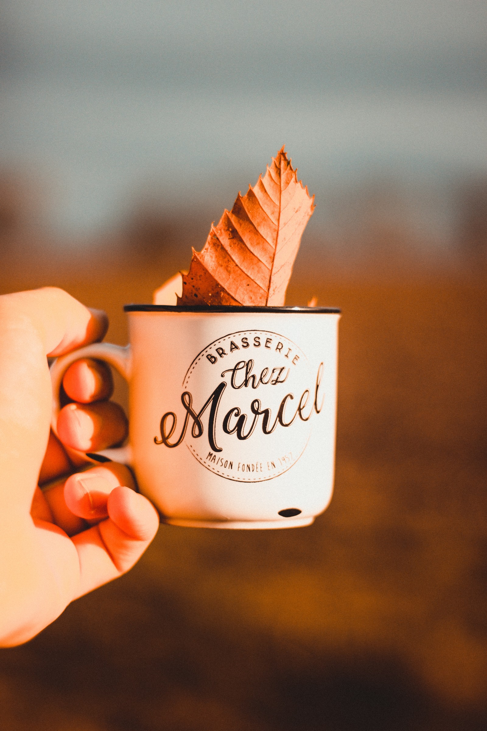 Alguien sosteniendo una taza con una hoja saliendo de ella (comida, dulzura, helado, postre congelado, postre)