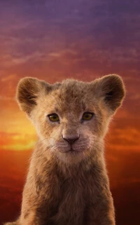 Close-up of a lion cub against a vibrant sunset backdrop