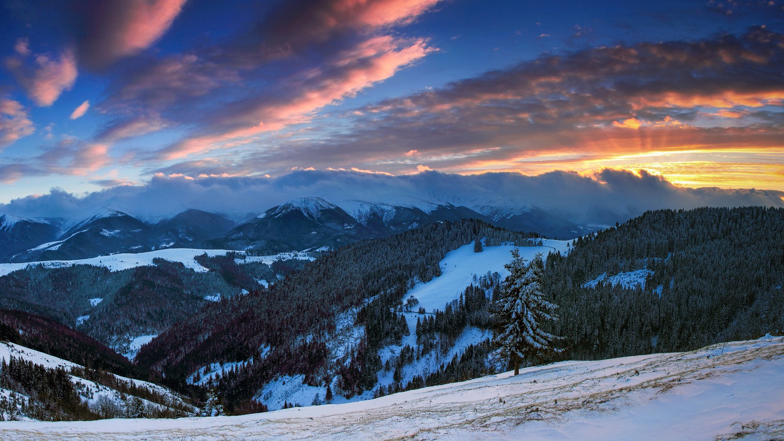 Montanhas cobertas de neve e árvores com um céu colorido (montanha, por do sol, pintura de paisagem, cadeia de montanhas, formas montanhosas)