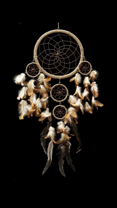 Elegant Dreamcatcher with Feathers on Black Background