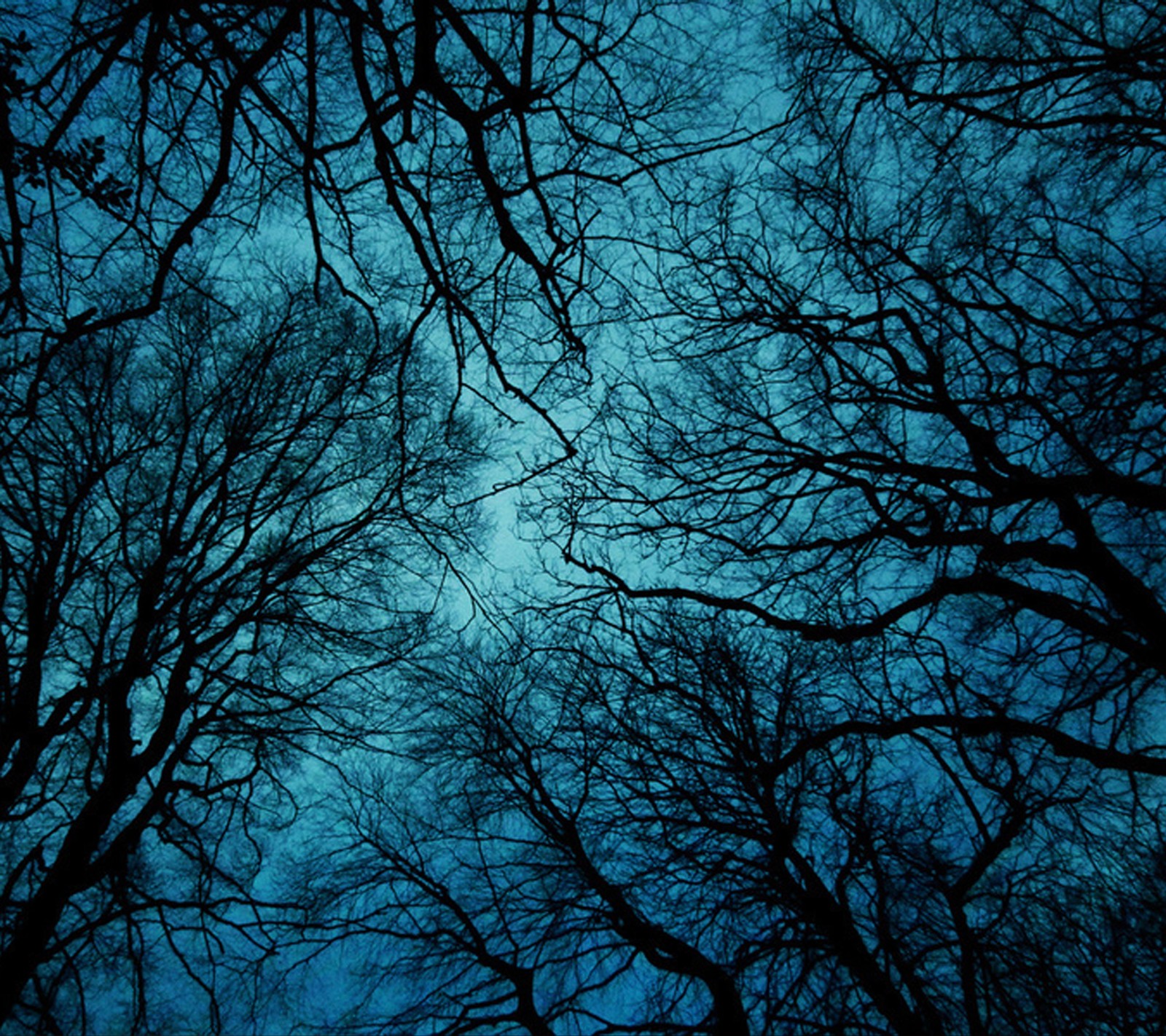 Lade dämmerung, wald, natur Hintergrund herunter