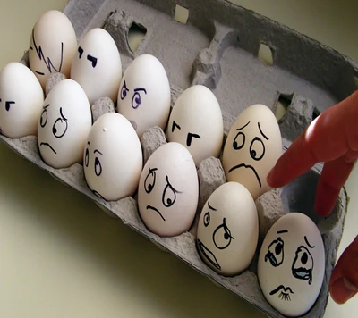 cool, funny, funny eggs, new