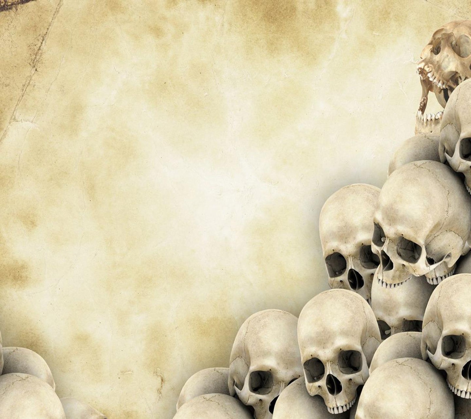 Download skulls, wallpaper for free