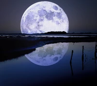 amazing view, full moon, moonlight wallpaper