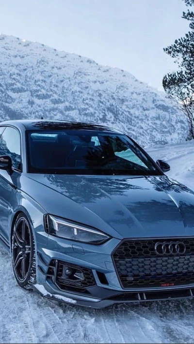 audi, voiture, quattro, rs5, hiver