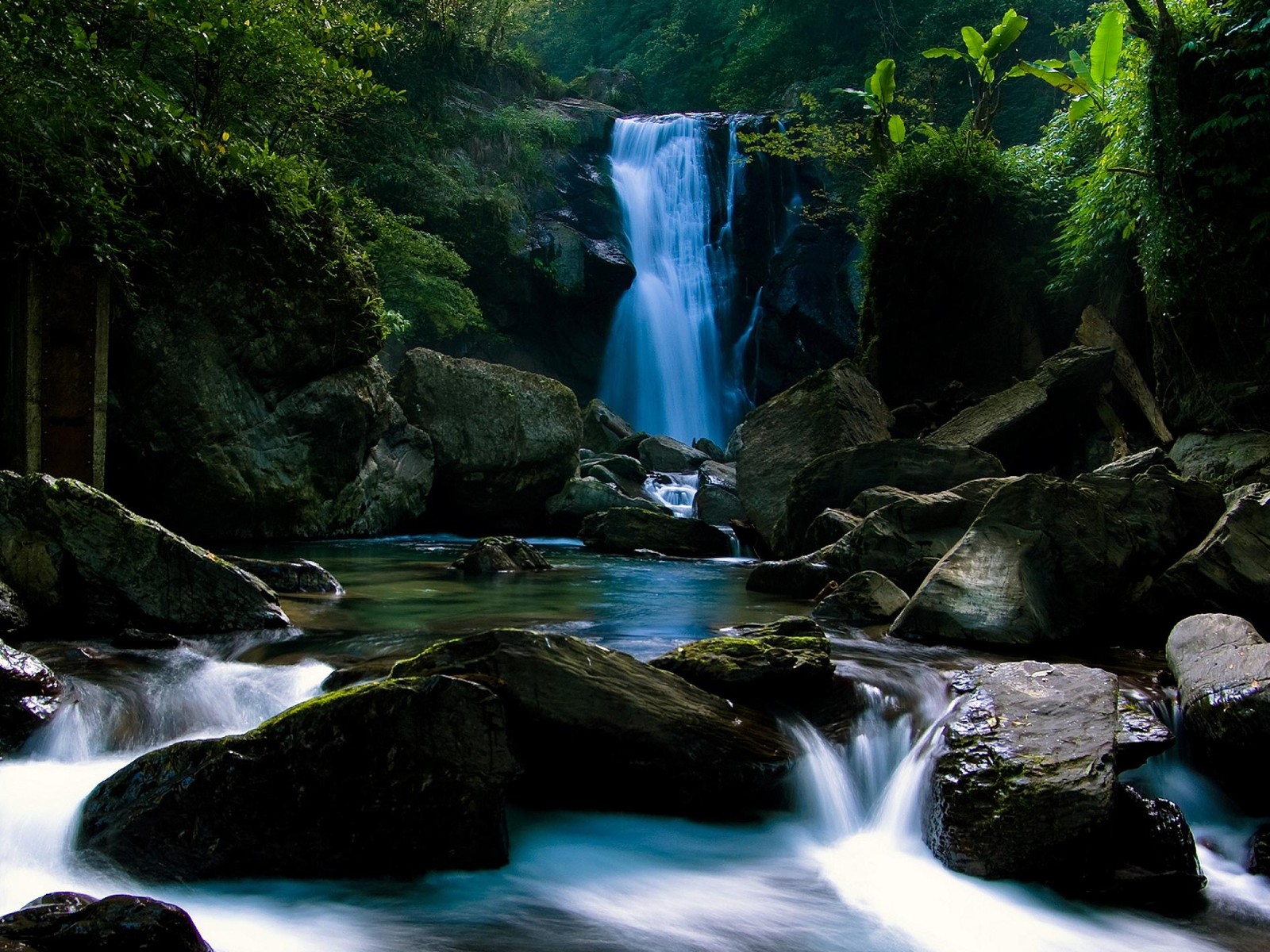 Una cascada en medio de un bosque con rocas y árboles (paisaje, naturaleza, rio, escenario, cascada)