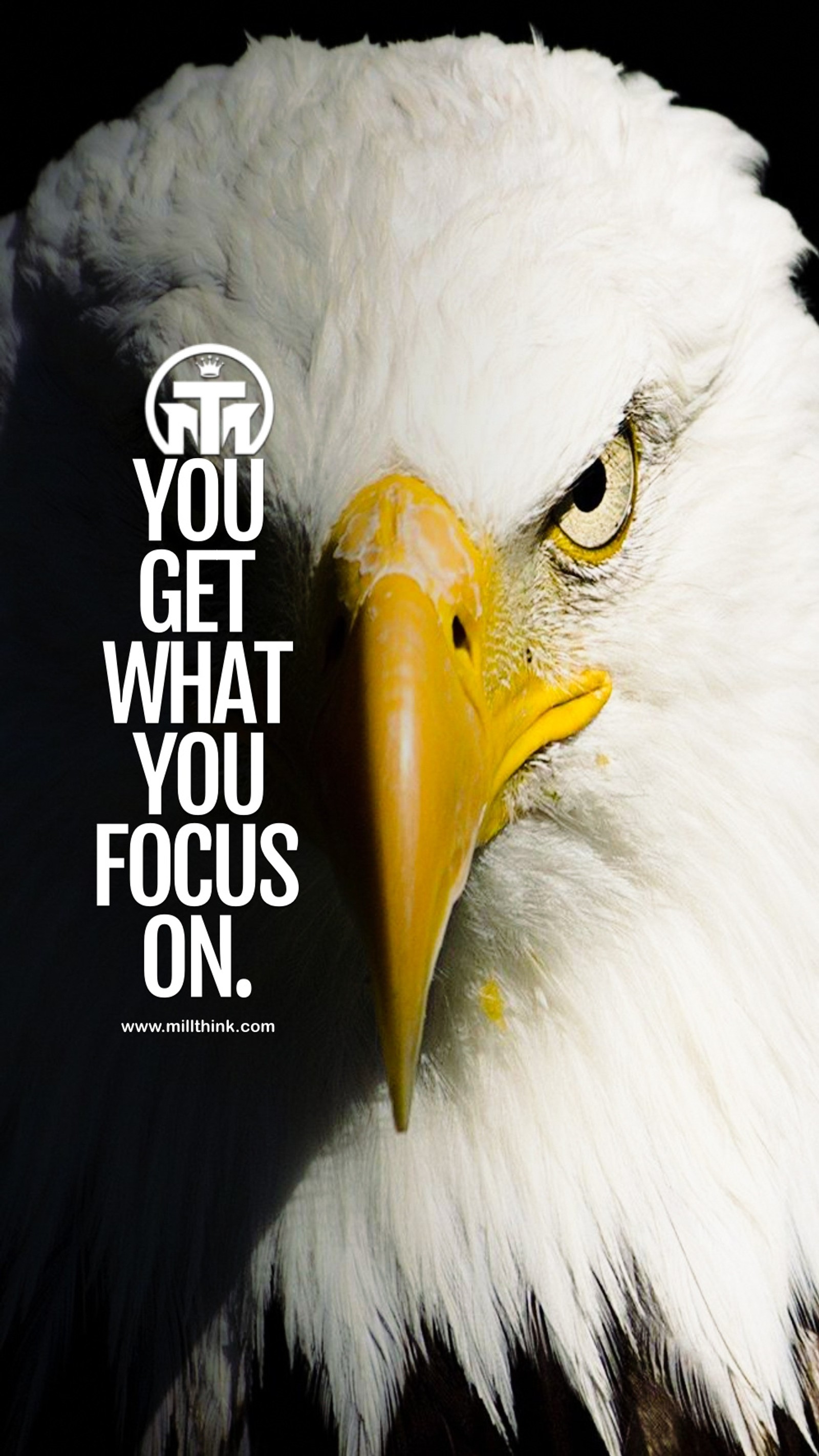 There is a bald eagle with a quote on it (eagle, inspiration, luxury, millionaire, millionaire lifestyle)