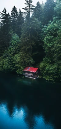 Ruhige Hütte am See, umgeben von üppigem Lärchenwald