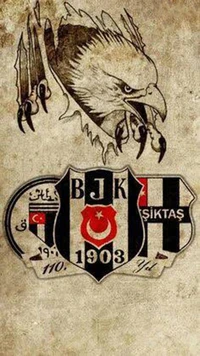 besiktas, bjk, noir, aigle noir, aigle