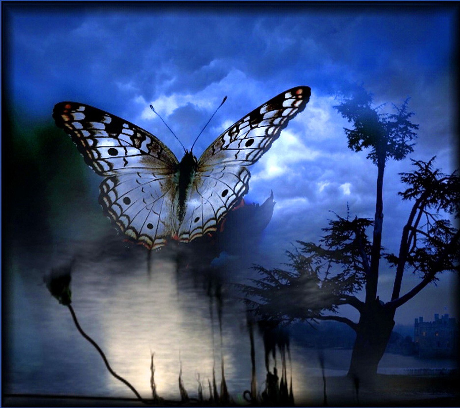 There is a butterfly that is flying over a tree (butterfly, wallpaaper)