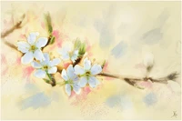 Zarte Kirschblüten in sanften Aquarelltönen, die die Schönheit des Frühlings hervorheben.