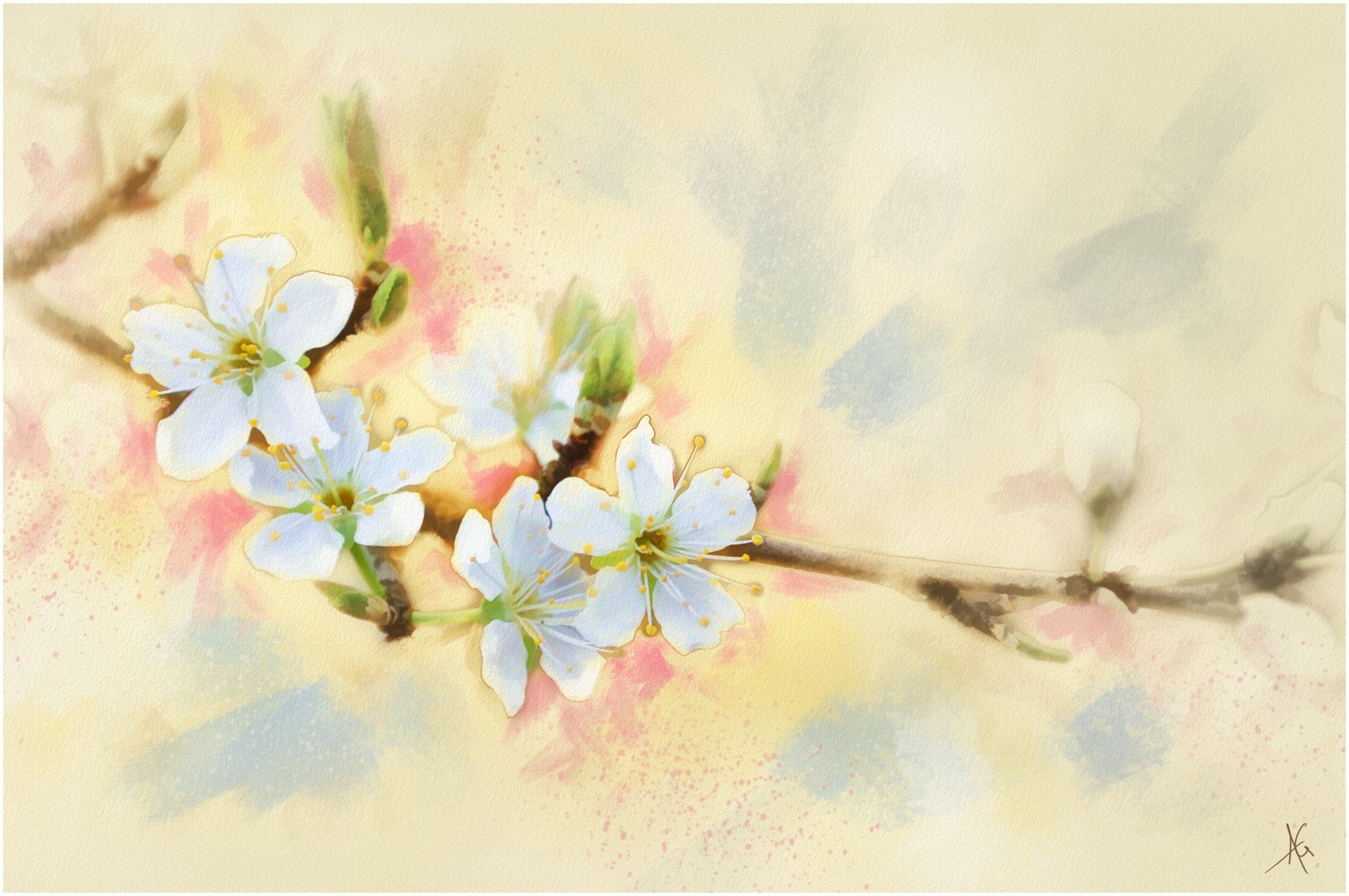 Painting of a branch of a flowering tree with white flowers (cherry blossom, petal, twig, blossom, watercolor paint)