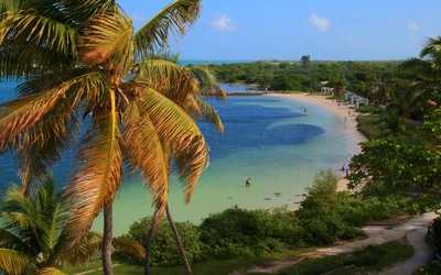 Praia tropical com palmeiras e águas cristalinas