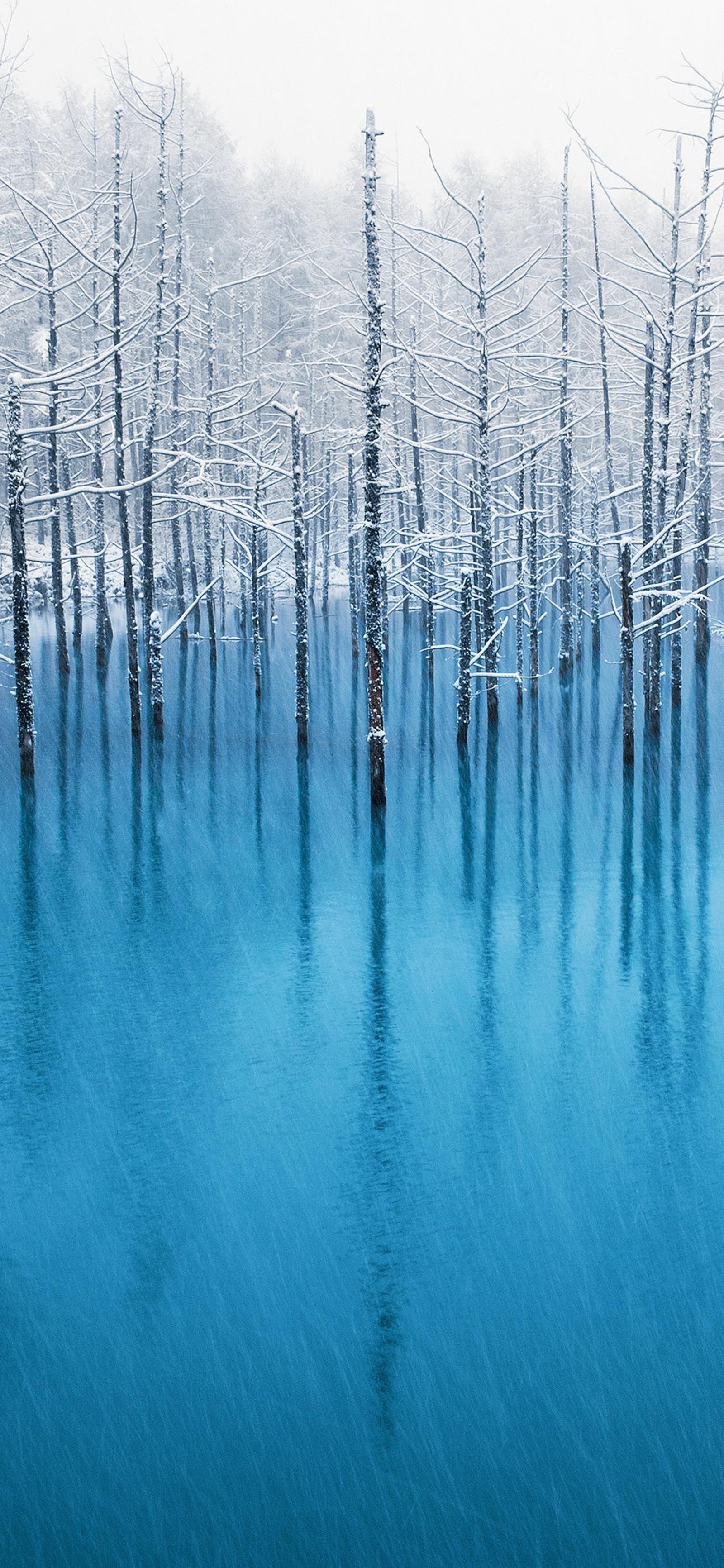 Lade äpfel, smartphone, ios, wasser, pflanze Hintergrund herunter