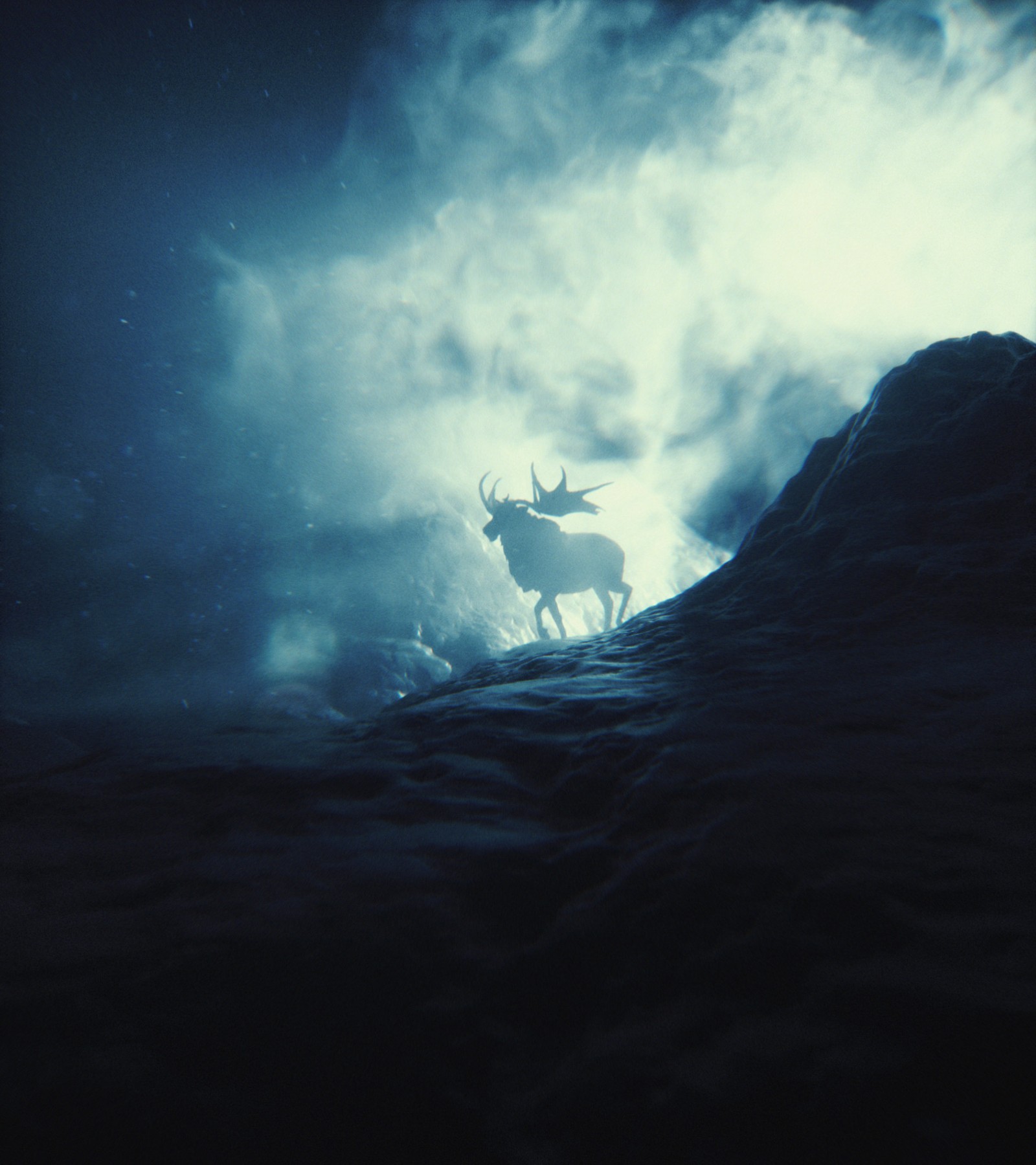 moose, cloud, atmosphere, darkness, landscape Download Wallpaper