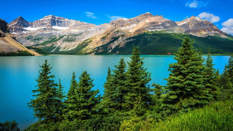 Вид на озеро с горами на заднем плане (озеро боу, bow lake, озеро пейто, банф, banff)