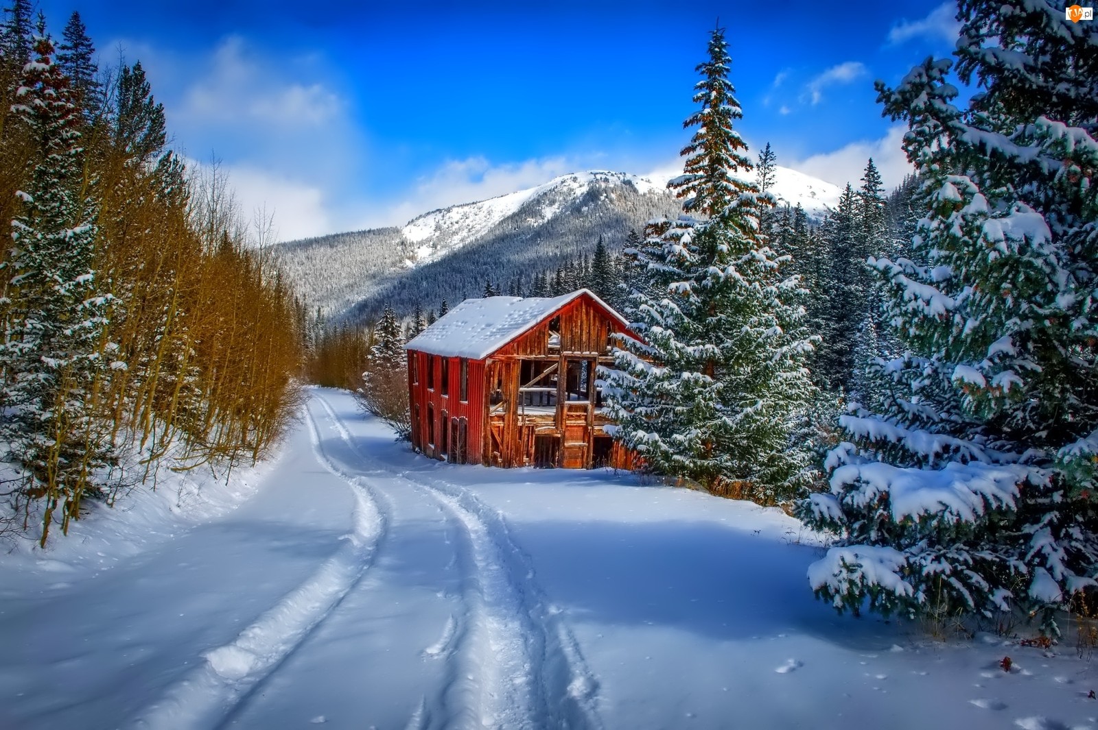 winter, snow, nature, home, tree wallpaper