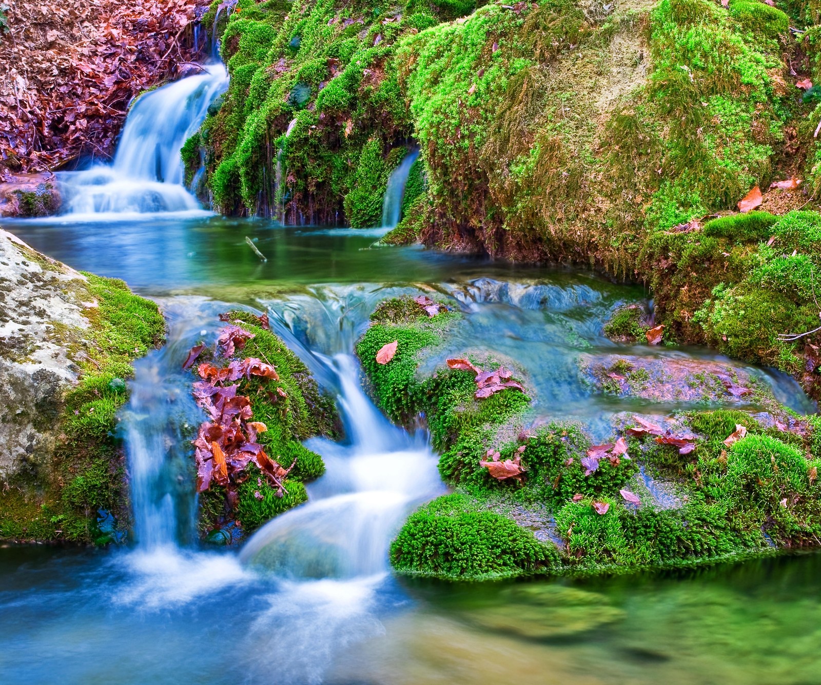 A close up of a small waterfall in a forest with moss (flowers, forest, hd, landscape, nature)