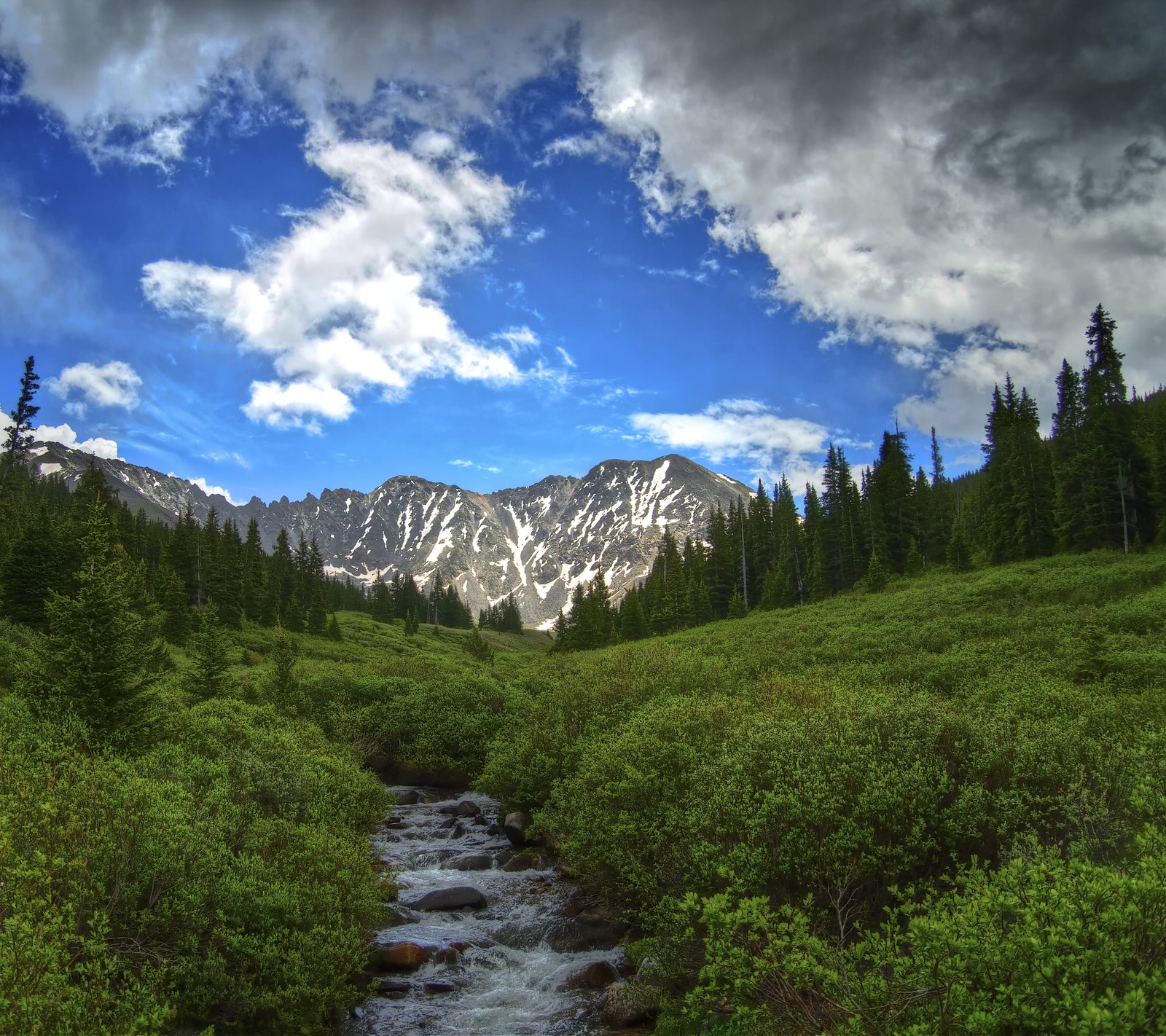 earthporn, forest, nature, outdoors, tree wallpaper