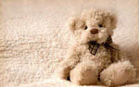 Ours en peluche adorable sur fond doux