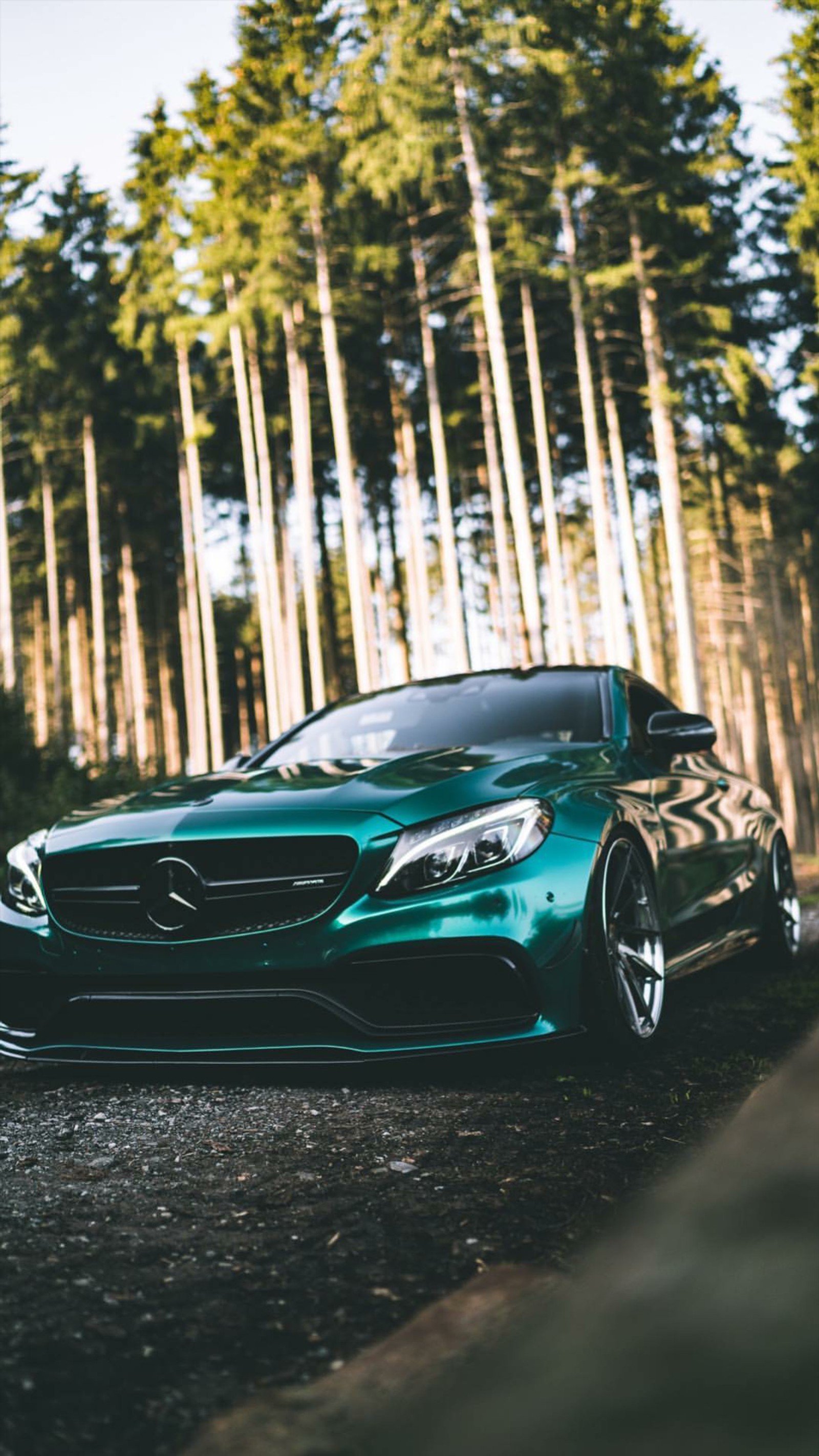 A green mercedes parked in front of a forest (mercedes, amg, c63, green, car)