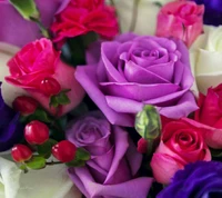 colorfull, roses wallpaper