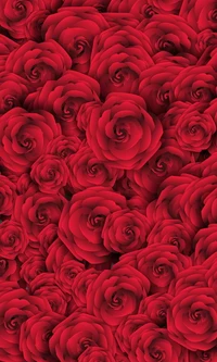 flowers, red, roses wallpaper