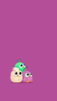 angry birds, funny, hatchlings, little wallpaper