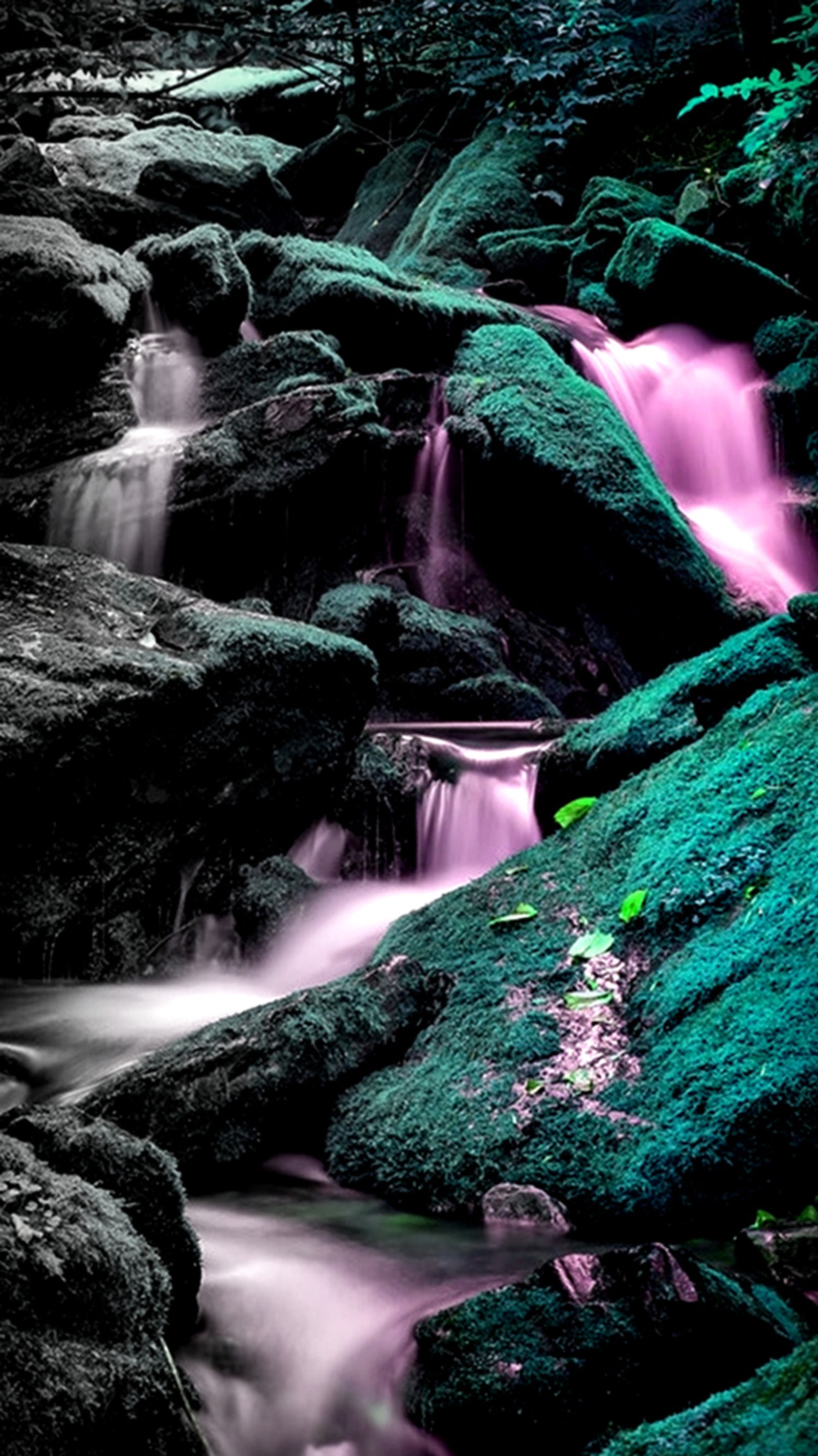 Um primeiro plano de um fluxo de água correndo entre pedras (majestoso, cachoeira)