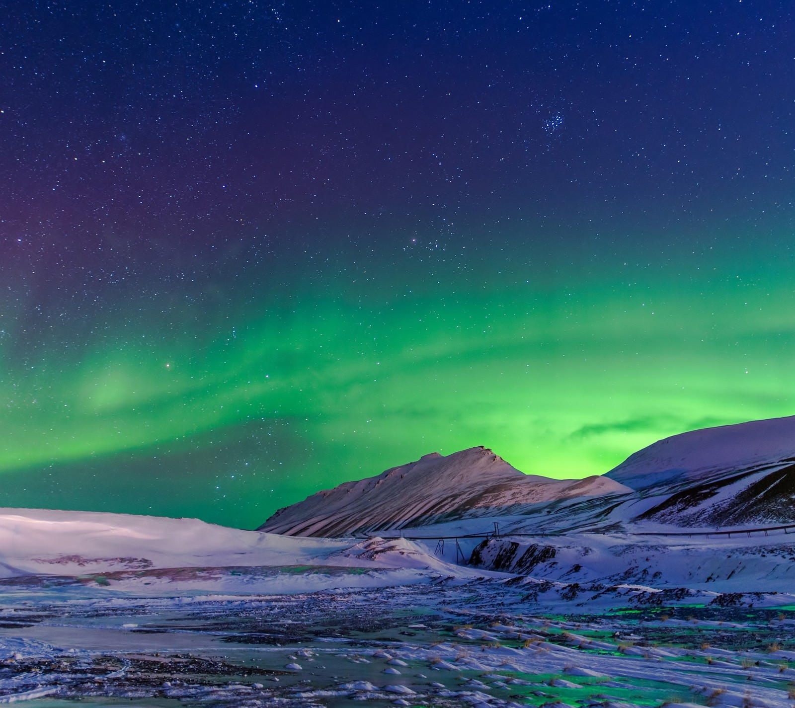 Girafas no céu com uma aurora verde e roxa acima (gelo, luzes, norte, neve)