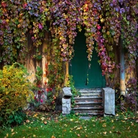 A charming green door framed by vibrant, cascading foliage in autumn hues.