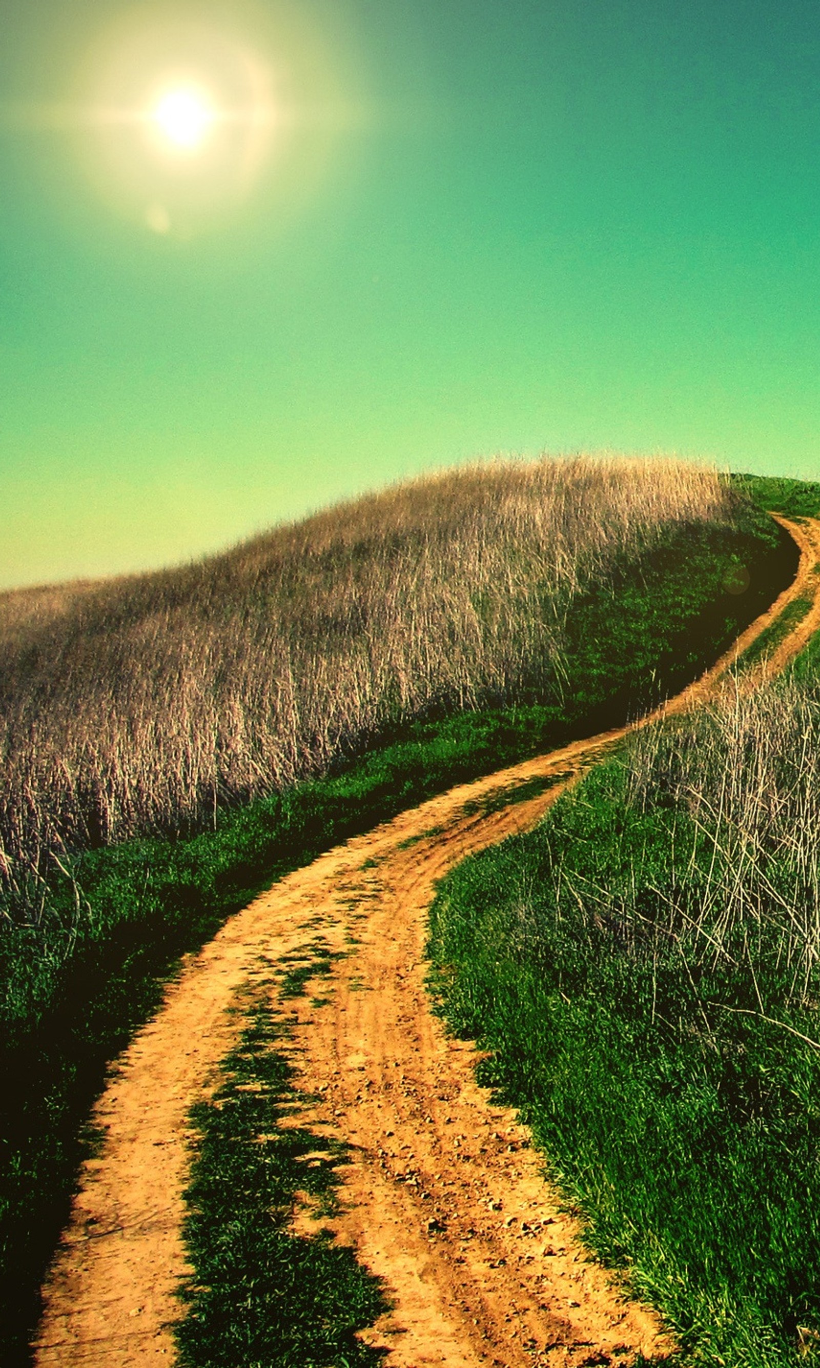 Un chemin de terre sinueux montant une colline avec un soleil en arrière-plan (nature, uphill)