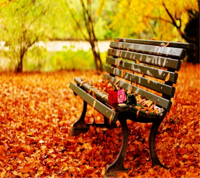 Banc oublié de l'amour d'automne