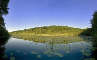 naturaleza, reflexión, recursos hídricos, vía fluvial, reserva natural