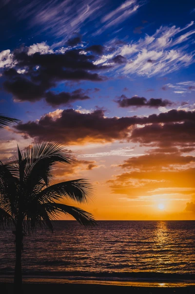 Coucher de soleil tropical : Un horizon serein avec des teintes vibrantes, des palmiers en silhouette et un océan tranquille au crépuscule.